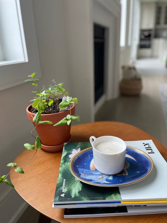 Why Toronto Buyers Are Choosing Japanese Minimalist Furniture